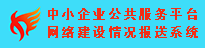 网络建设情况报送系统